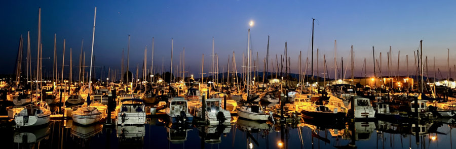 Squalicum Marina Bellingham, WA